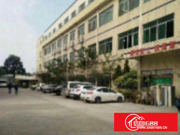 万江独院标准厂房楼上3000平配电按需内有简单装修