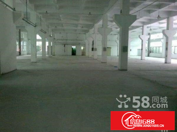 上市公司选一楼2600平红本高新科技园厂房招租