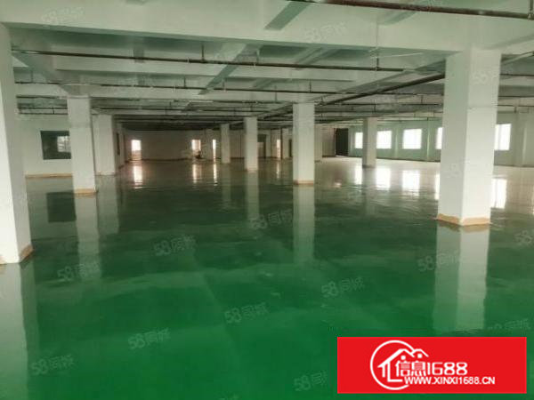 茶山镇临东部快线新出2楼整层2500平带地坪漆办公室装修