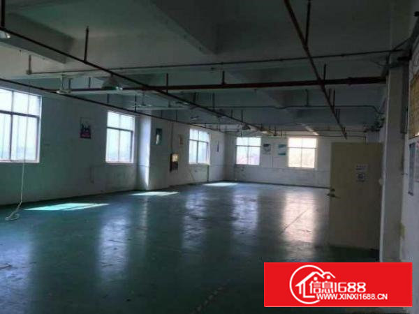 沙井新桥国道科技园直租300-1000平精装厂房，水电齐全