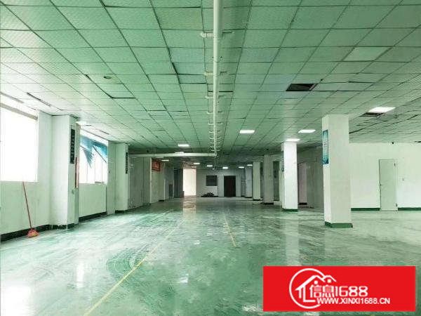 出租龙岗区坂田可办公/可生产/可做联合办公