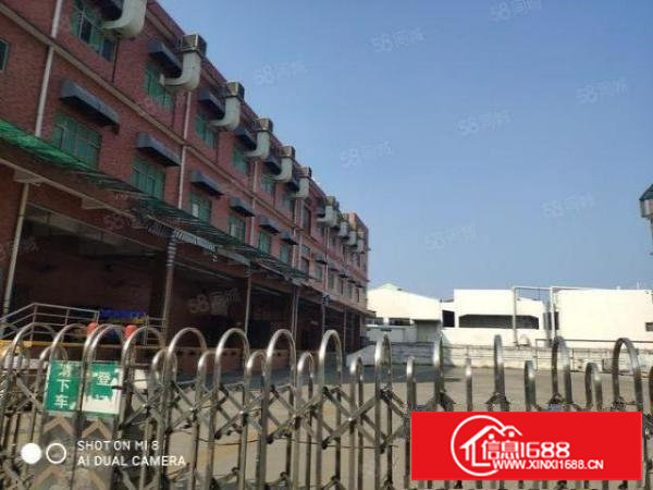 塘厦镇清湖头一手房东厂房出租水电线路齐全空地超大