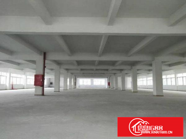 形象好独院3500方厂房出租易招工配套齐全