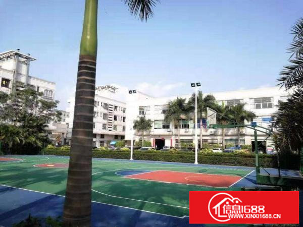 坪山石井红本厂房出租2000平原房东精装修免转让费