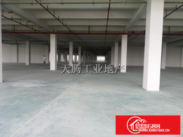 容桂首层450方用电按需适合做五金、机械