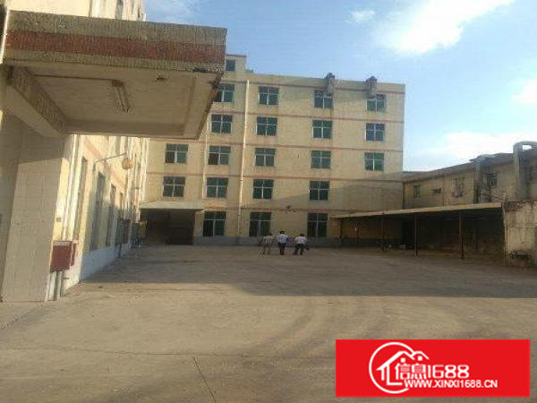 坑梓龙田独院，厂房14层8600平方招租