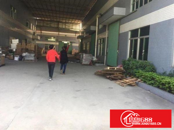 镇隆工业区独门独院厂房出租600平起分租