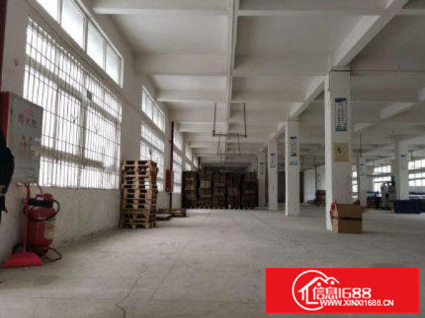 新出1000平靓房火热招租中3吨超大货梯