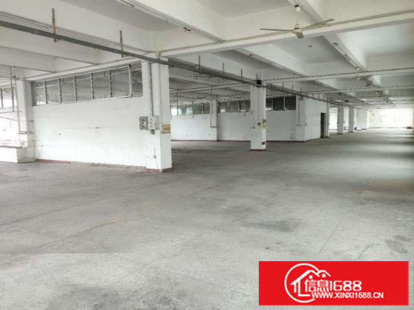 出租龙岗区横岗独院厂房，消防喷淋，3吨电梯