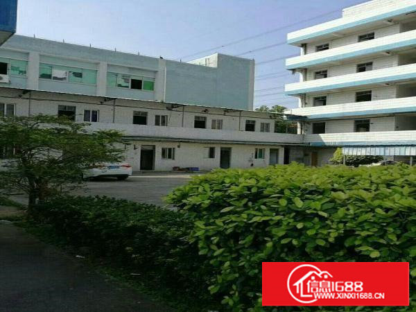 科苑城大坪高速出口处独院厂房招租