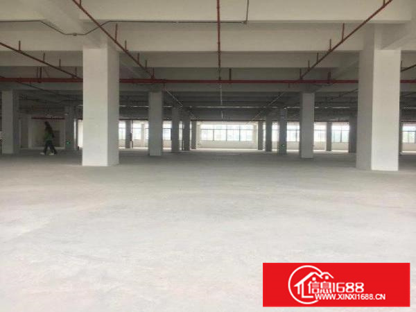 可办环评，容桂独院1000方标准厂，配电大