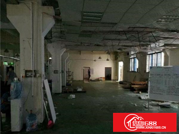 石排太和标准一楼厂房600平方带牛角地坪漆出租