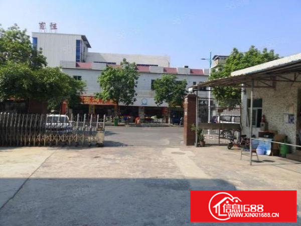 横沥新出原房东楼上带精装修水电齐全无需转让1900平方原房东