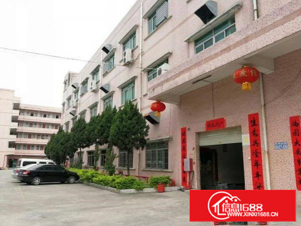 塘厦凤凰岗新出标准一楼带办公室装修1500平米出租