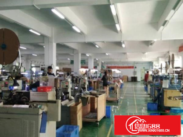 坪山新出原房东4700平红本独栋厂房出租