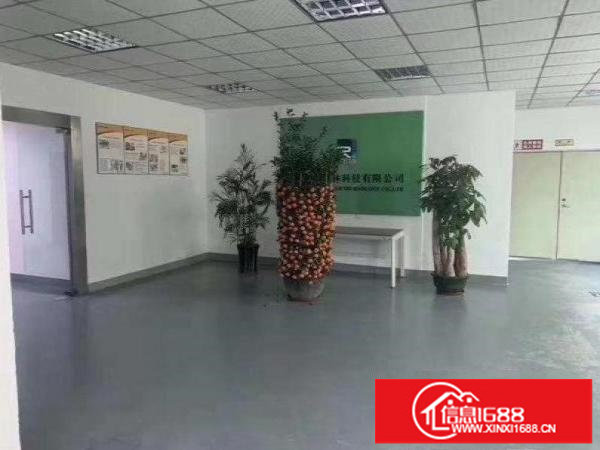 横岗大康村独栋3楼600平方带厂房出租，配电充足