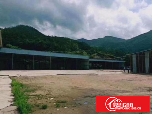 东莞清溪废品打包破碎单一层钢结构厂房出租3500平