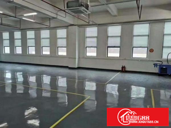 光明区原房东（近高速口独院）红本10000平厂房出租可分租