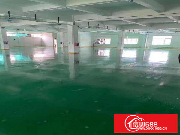 东莞清溪三星村二楼办公室现成装修厂房