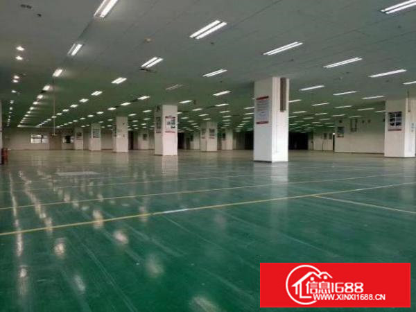 光明龙大高速口，楼上精装修，开发商直租，无公摊带红本