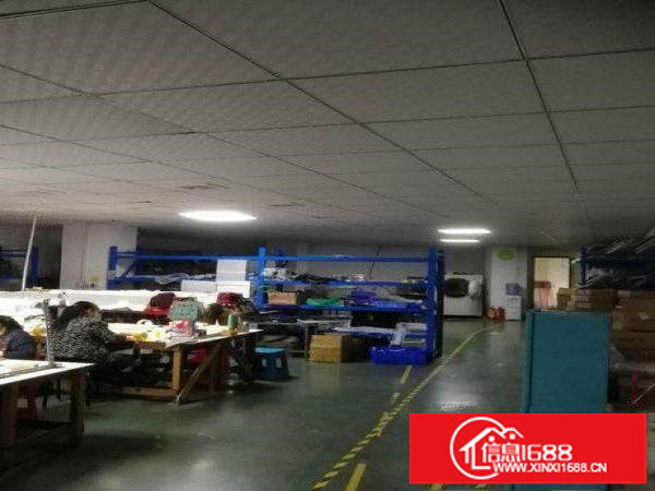 横岗原房东带电梯带装修新厂房550平650平分租