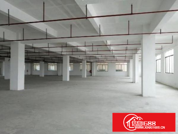 西樵镇大桐1.8万方全新工业大楼出租