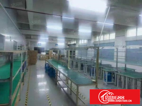 横沥价格13一平方起独栋出租