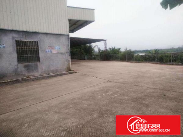 原房东小独院厂房带牛角1500平带地坪漆现成办公室