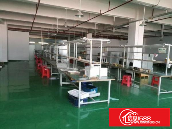 [坪山厂房]坪山石井新出436平独院标准厂