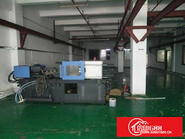 横沥镇隔坑附近标准厂房一楼1000平方