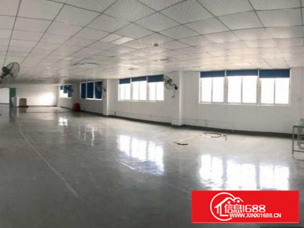 厂房450平米出租宝安石岩官田地铁站