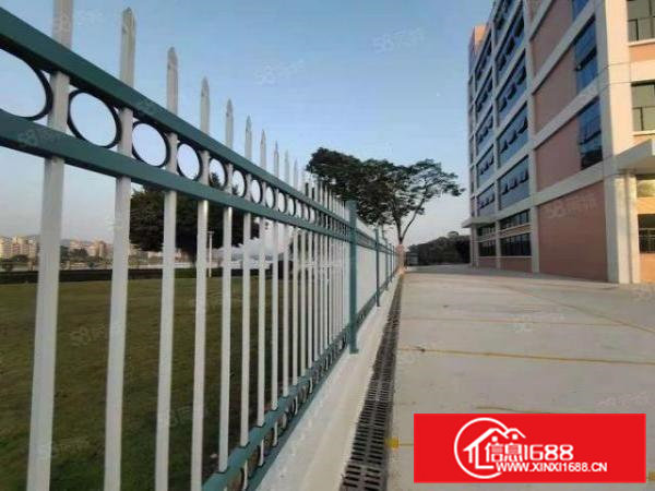 虎门镇新空出全新标准厂房，超大空地，交通便利