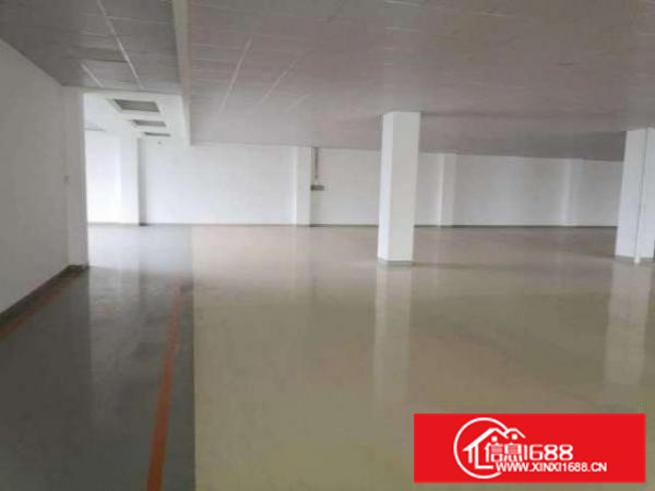 出租近广州化妆品、食品仓库，环评包过，证件齐全3000方招租