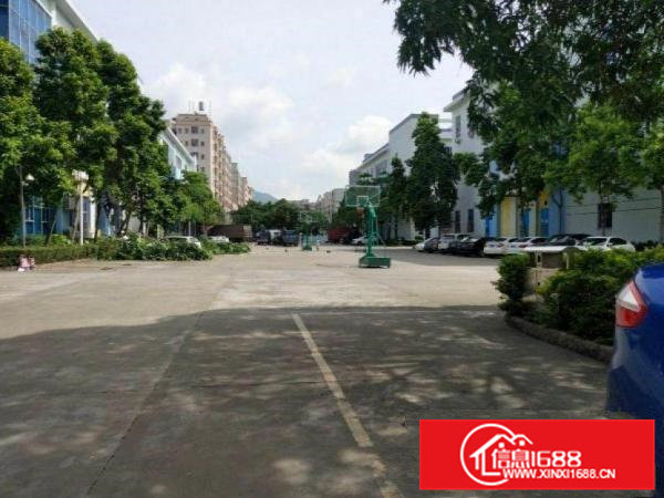 霞朗新出一楼高7米原房东厂房900平招租