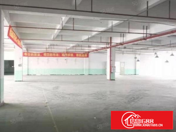 乌沙靠深圳新空出独门独院厂房出租可分租