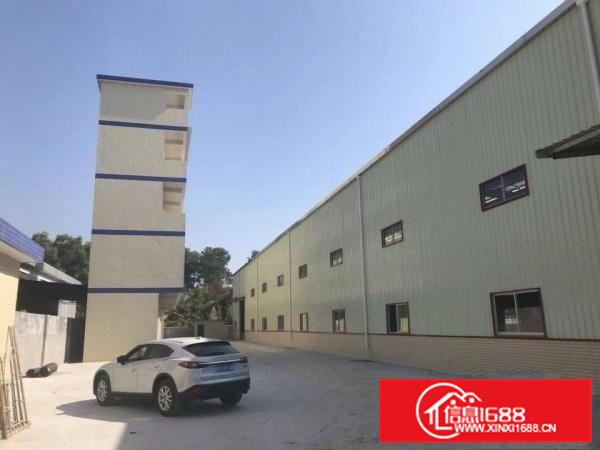 企石原房东单一层独院3000平空地大好进货柜车