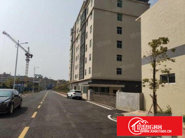 （原房东直租）清溪全新独院厂房32000平带喷淋牛角大小可分