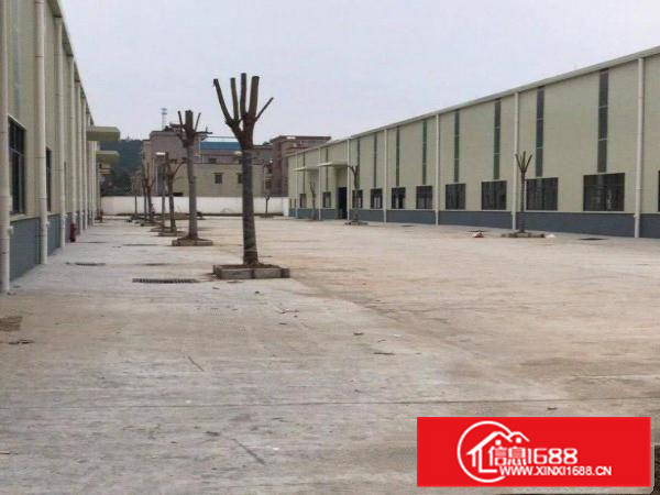 惠阳新圩高速出口8000平钢构12米火爆招租