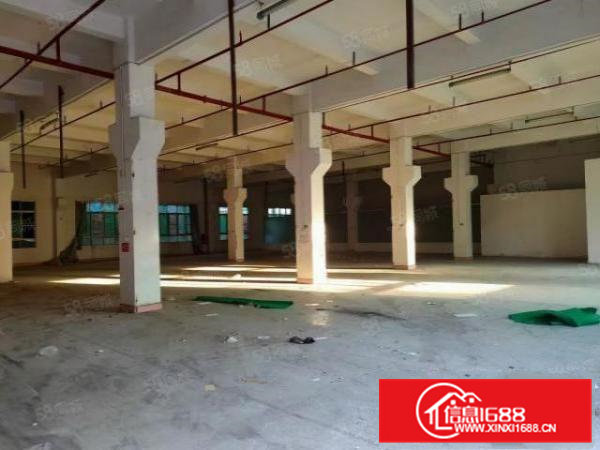 横沥镇三江附近独院分租一楼滴水6米带牛角位的2000平可分租