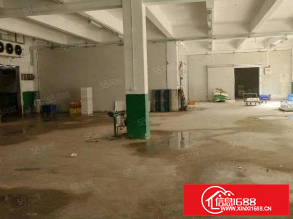 白坭坑海吉星附近独院厂房带现成冻库，现成水电