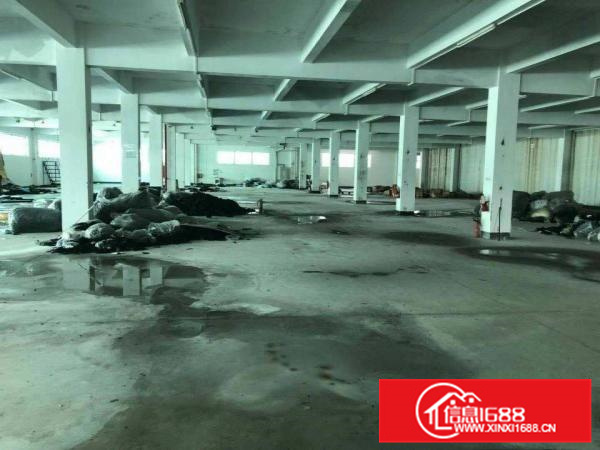 惠州大亚湾新出独栋标准厂房17000平方，精装修