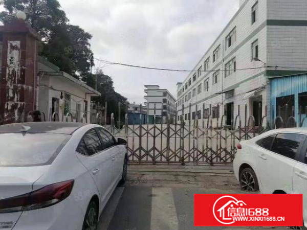 凤岗新出独院厂房12600平精装修标准厂房可分租厂房出租