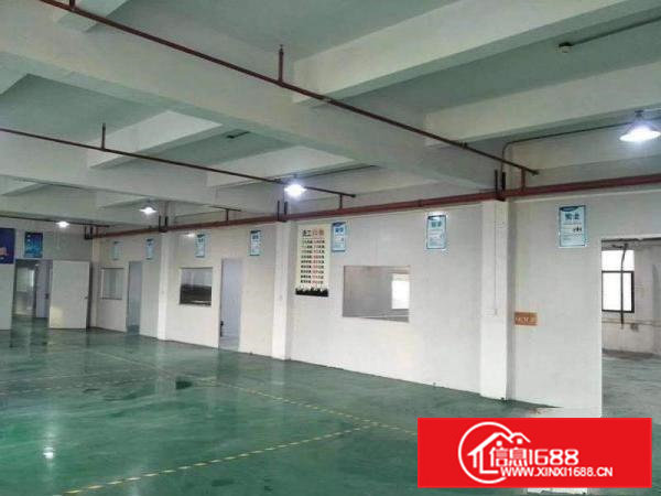 8元包办环评大朗成熟工业园二楼1000平方厂房招租