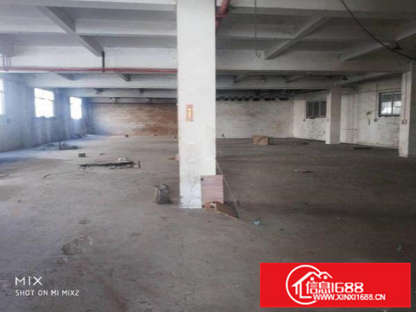 出租龙岗区五联350平方标准一楼厂房