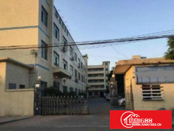 高埗独院标准一楼500-2000方厂房招租有现成装修水??电