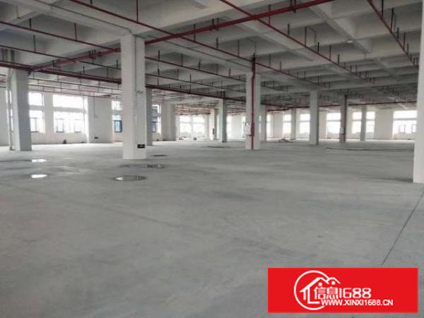 大岭山杨屋新出标准原房东可分租厂房3000平米一层可分租