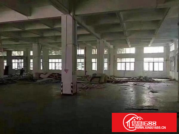 布吉丹竹头新出一楼厂房一千五百平可分租