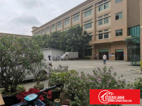 大朗原房东独院厂房，面积7800平，带红本消防过关