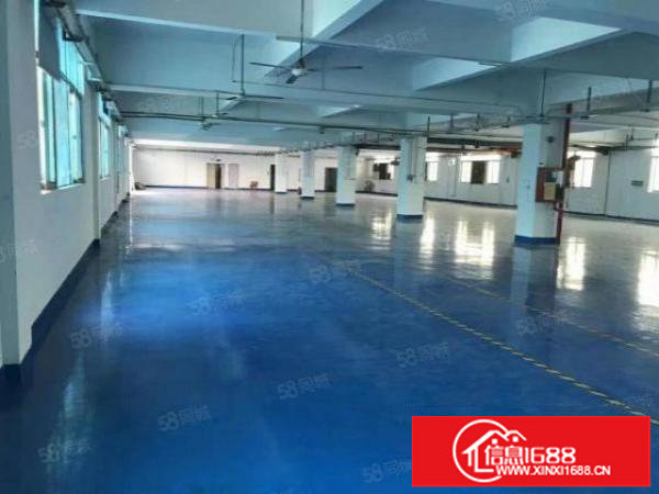 大工业区红本精装厂房1550平方出租现成装修水电可分租二楼