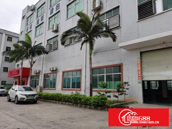 塘厦镇新出标准一楼2000平，高度7米，可分租